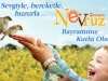 nevruz-3